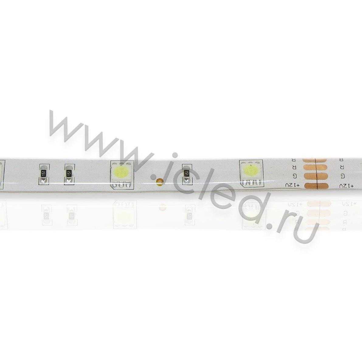 Влагозащищенные светодиодные ленты Светодиодная лента Standart class 5050, 30led/m, White, 12V, IP65 Icled