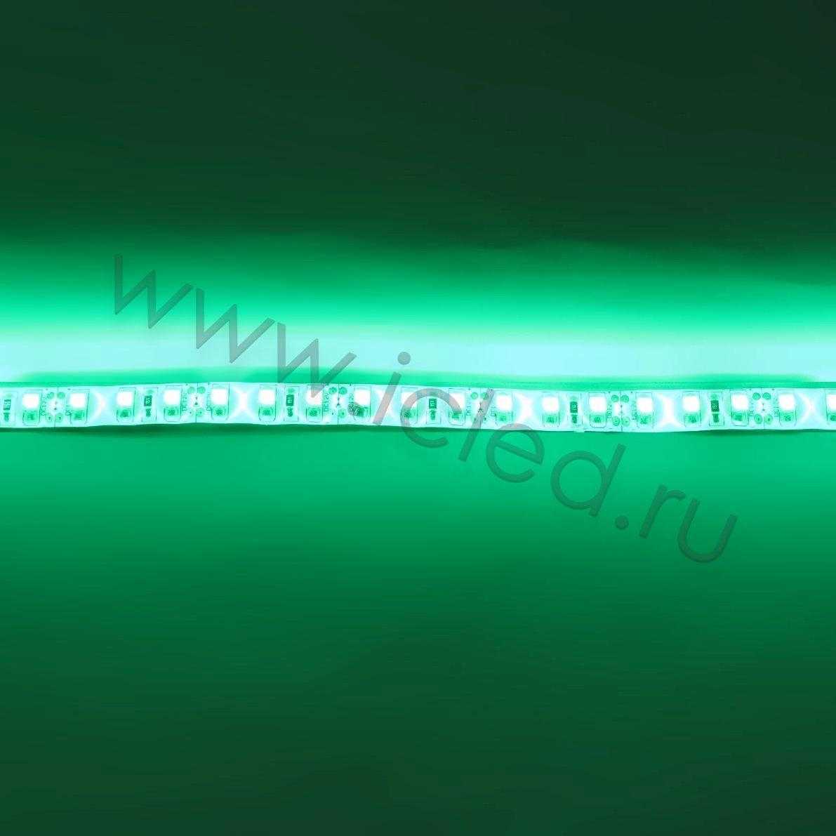 Влагозащищенные светодиодные ленты Светодиодная лента Standart PRO class, 3528, 120 led/m, Green, 12V, IP65 Icled