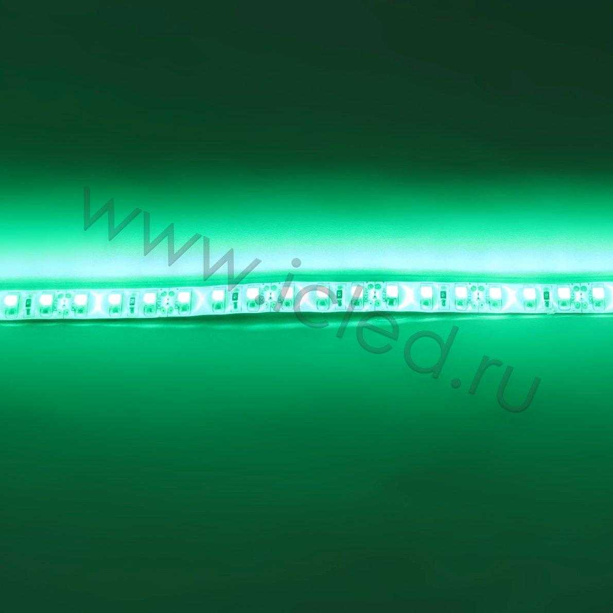 Влагозащищенные светодиодные ленты Светодиодная лента Standart PRO class, 3528, 120 led/m, Green, 12V, IP65 Icled