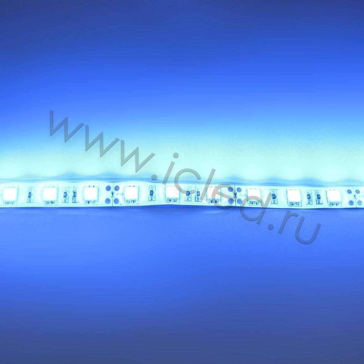 Влагозащищенные светодиодные ленты Светодиодная лента Standart PRO class, 5050, 60led/m, Blue, 12V, IP65 Icled
