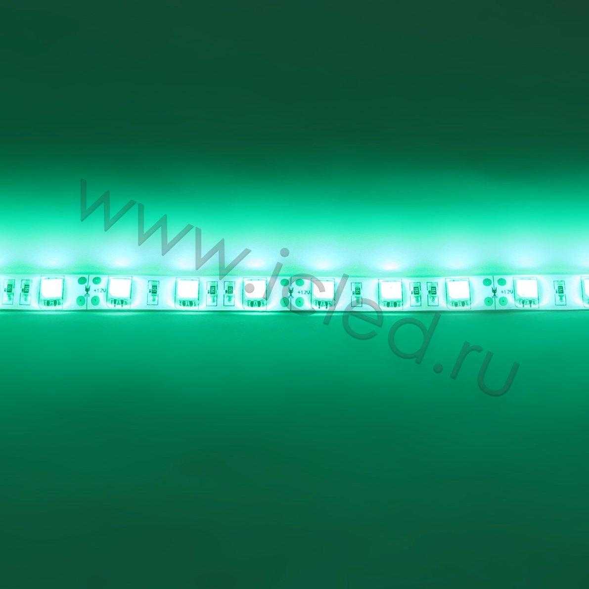 Влагозащищенные светодиодные ленты Светодиодная лента Standart PRO class, 5050, 60led/m, Green, 12V, IP65 Icled
