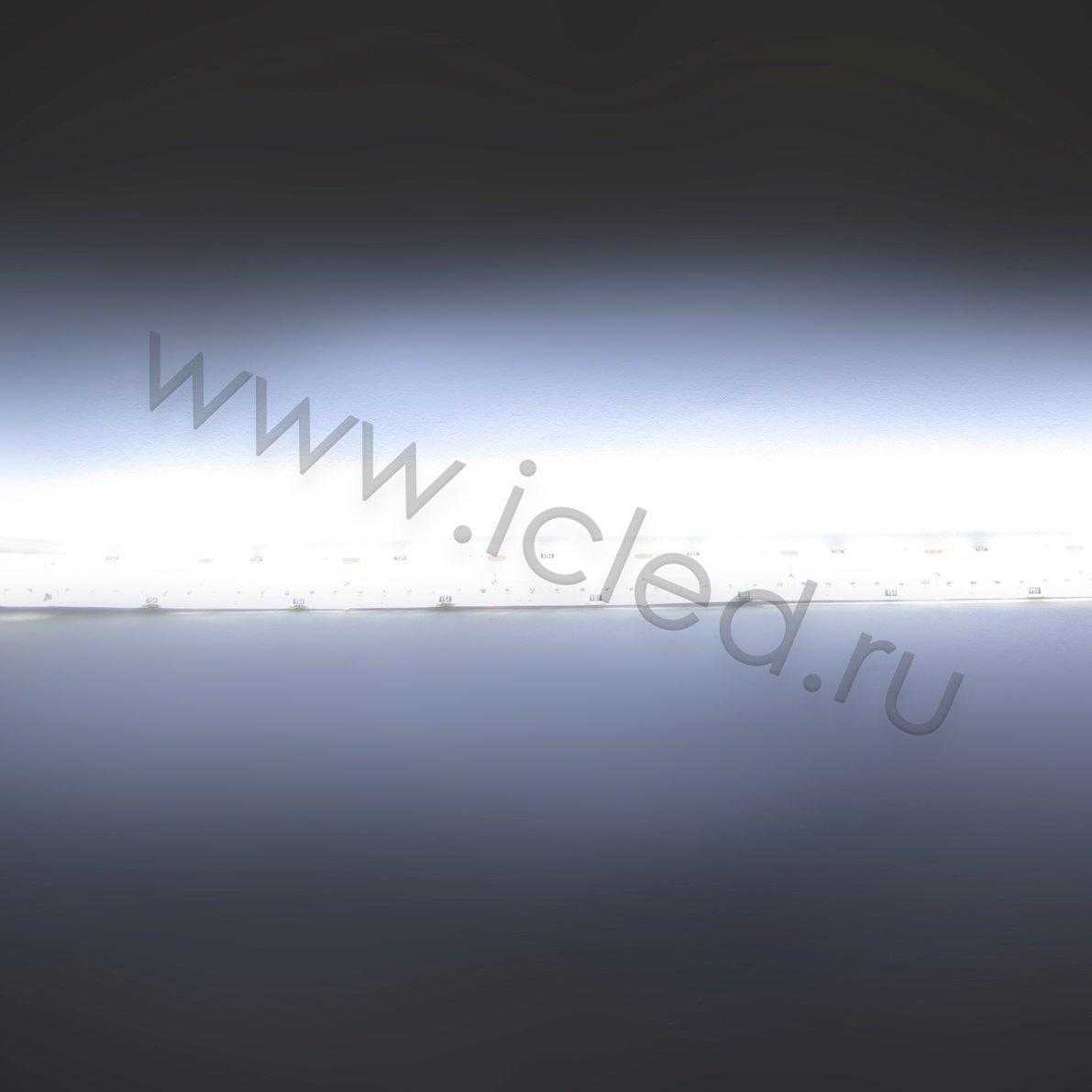 Влагозащищенные светодиодные ленты Светодиодная лента Standart PRO class, 3528, 240 led/m, White, 24V, IP65 Icled