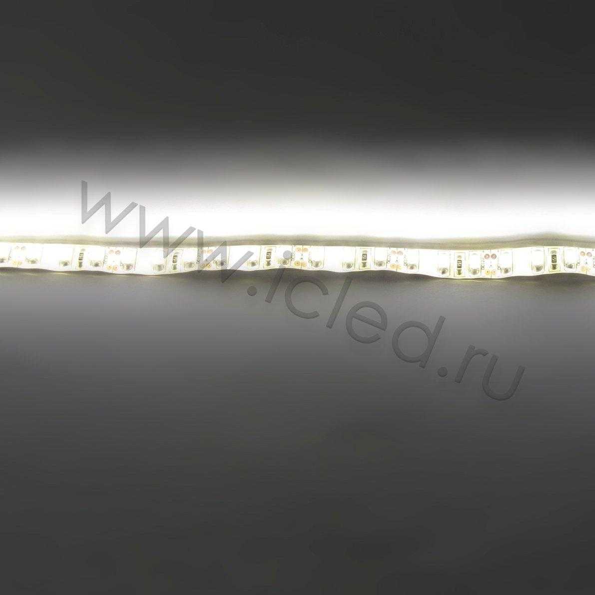 Влагозащищенные светодиодные ленты Светодиодная лента Standart PRO class, 3528, 120 led/m, Warm White, 12V, IP65 Icled