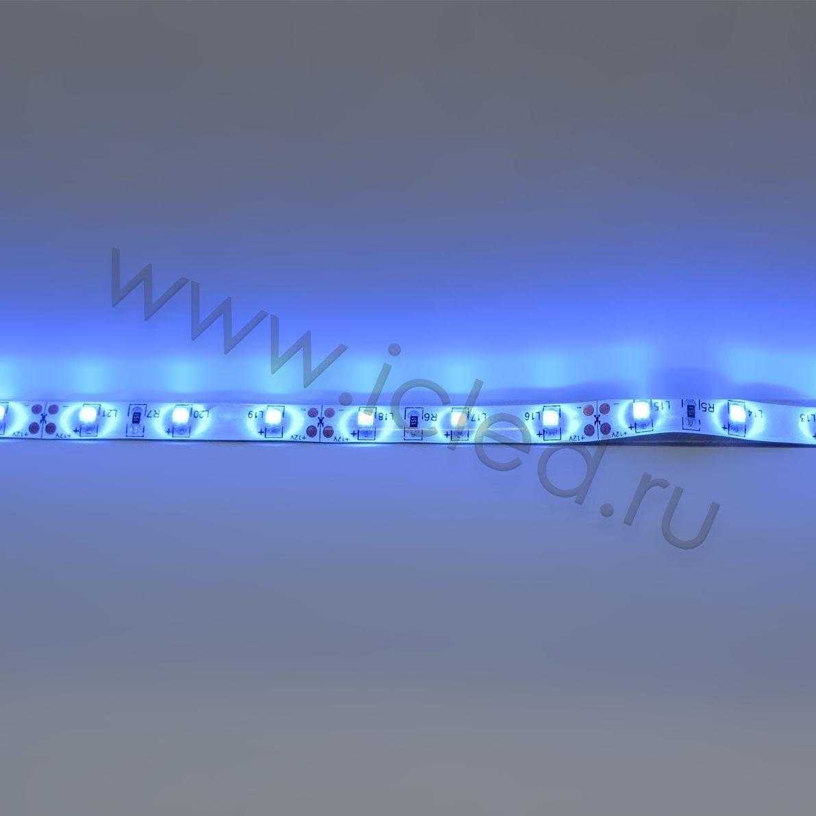 Влагозащищенные светодиодные ленты Светодиодная лента Standart PRO class, 3528, 60 led/m, Blue, 12V, IP65 Icled