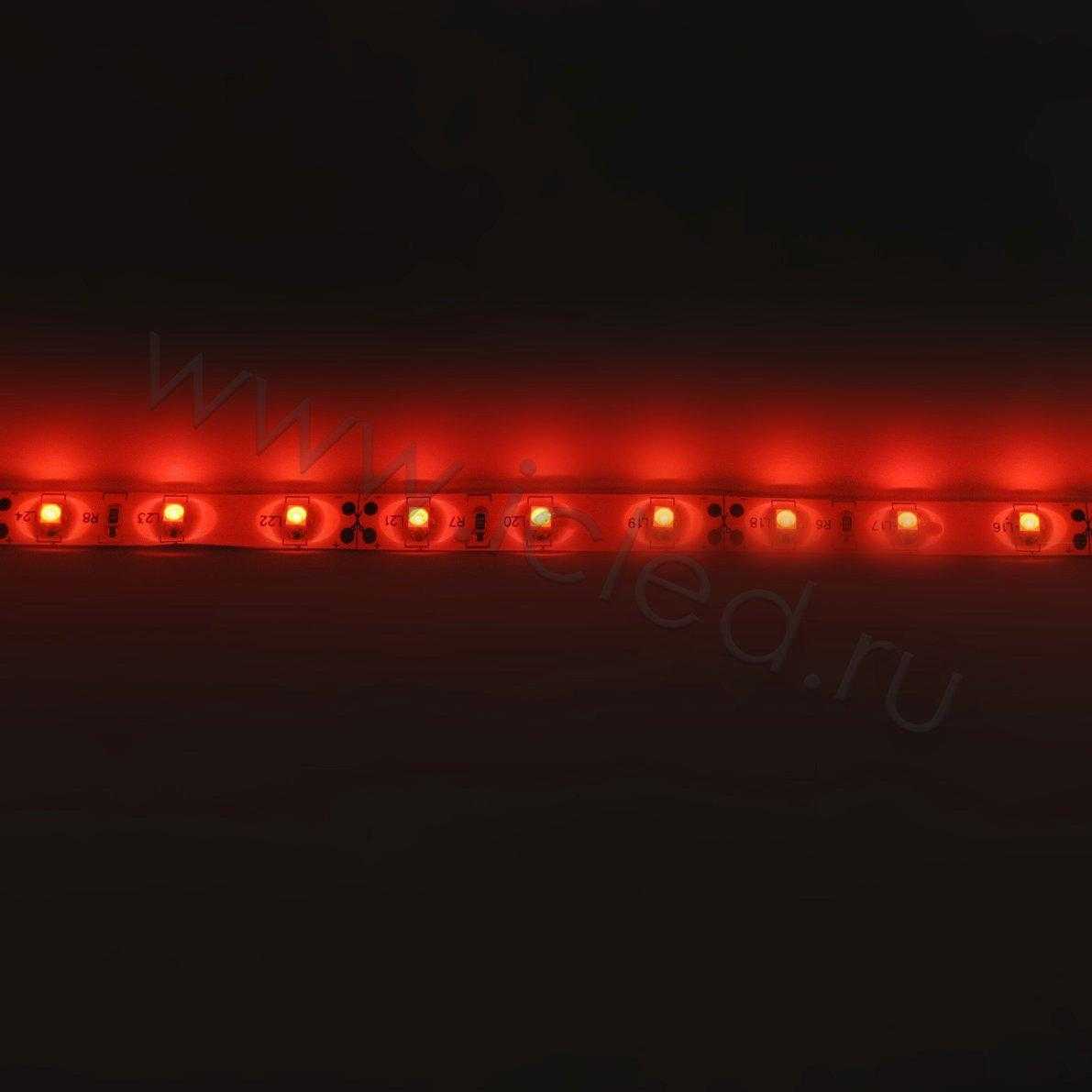 Влагозащищенные светодиодные ленты Светодиодная лента Standart PRO class, 3528, 60 led/m, Red, 12V, IP65 Icled