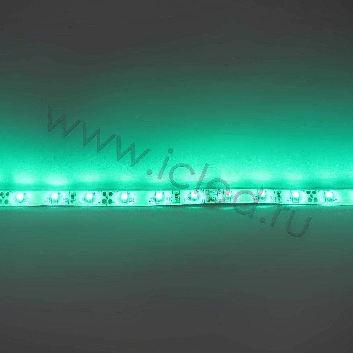 Влагозащищенные светодиодные ленты Светодиодная лента Standart PRO class, 3528, 60 led/m, Green, 12V, IP65 Icled