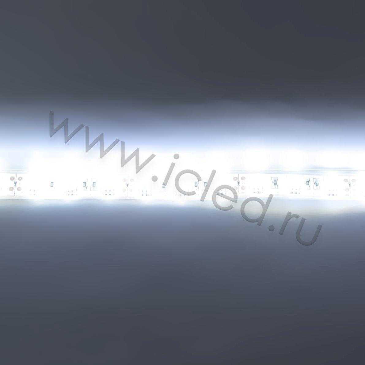 Влагозащищенные светодиодные ленты Светодиодная лента Standart PRO class, 5050, 60led/m, White, 12V, IP68 Icled
