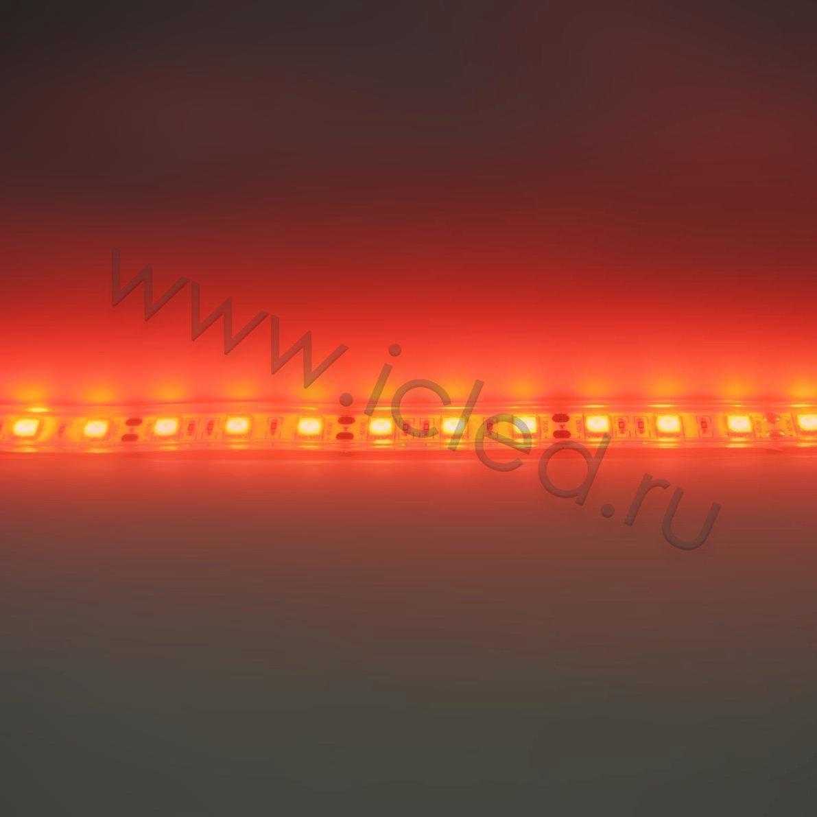 Влагозащищенные светодиодные ленты Светодиодная лента Standart PRO class, 5050, 60led/m, Red, 12V, IP68 Icled