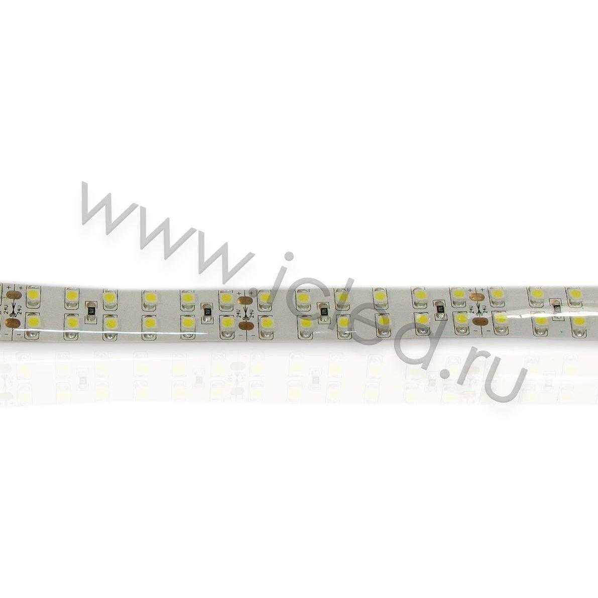 Влагозащищенные светодиодные ленты Светодиодная лента Standart PRO class, 3528, 240 led/m, Warm White, 24V, IP65 Icled