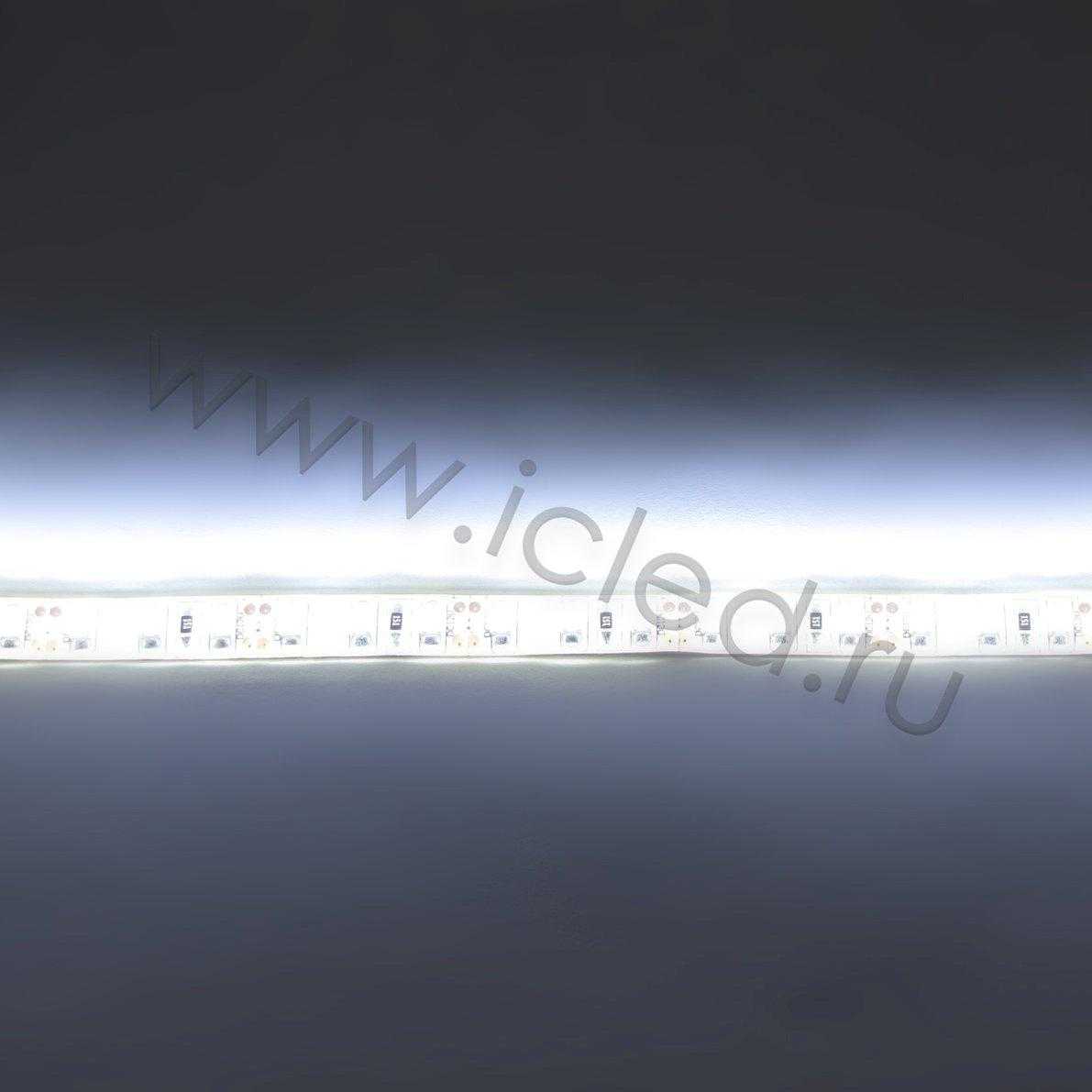 Влагозащищенные светодиодные ленты Светодиодная лента LUX class, 3528, 120 led/m, White, 12V, IP65 Icled