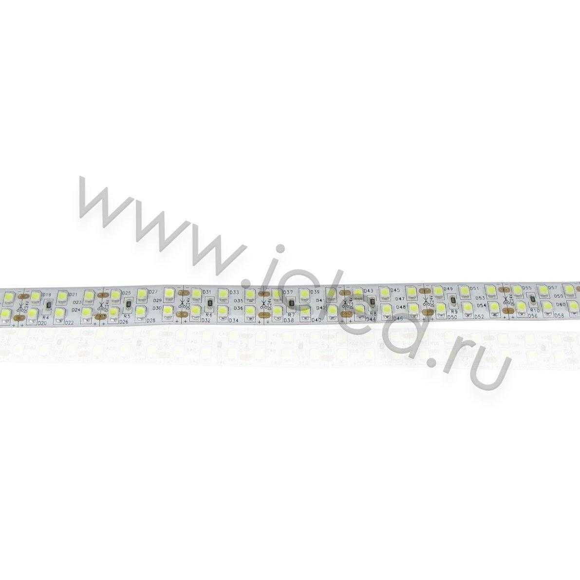 Влагозащищенные светодиодные ленты Светодиодная лента LUX class, 3528, 240 led/m, white, 24V, nano IP54 V241 Icled