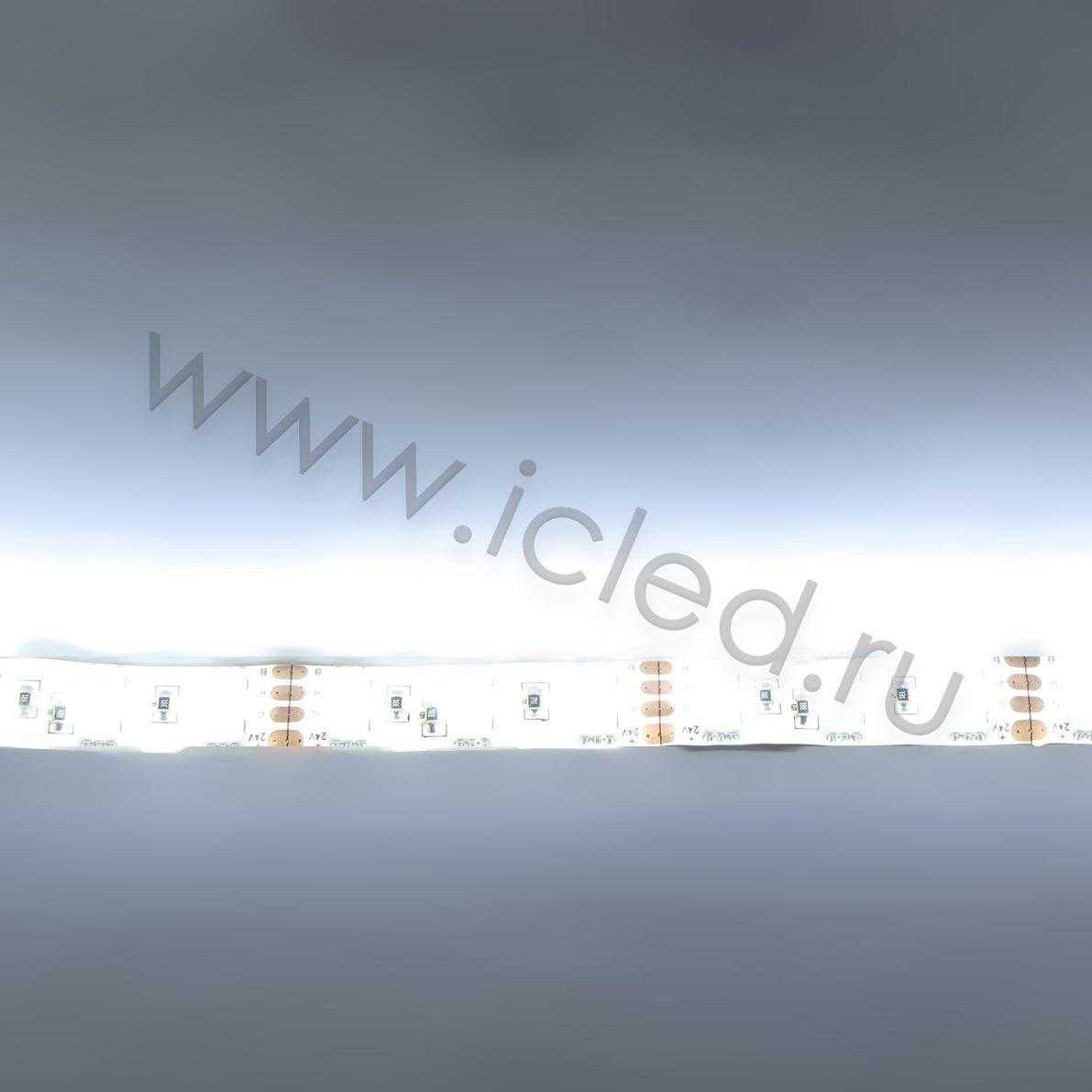 Влагозащищенные светодиодные ленты Светодиодная лента Standart PRO class, 5050, 120 led/m, White, 24V, IP65 Icled