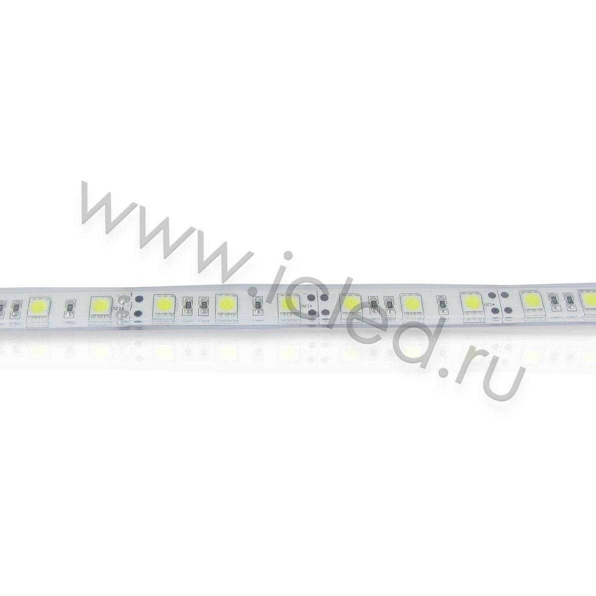Влагозащищенные светодиодные ленты Светодиодная лента LUX class, 5050, 60 led/m, Cool White,24V,P622, IP68 Icled