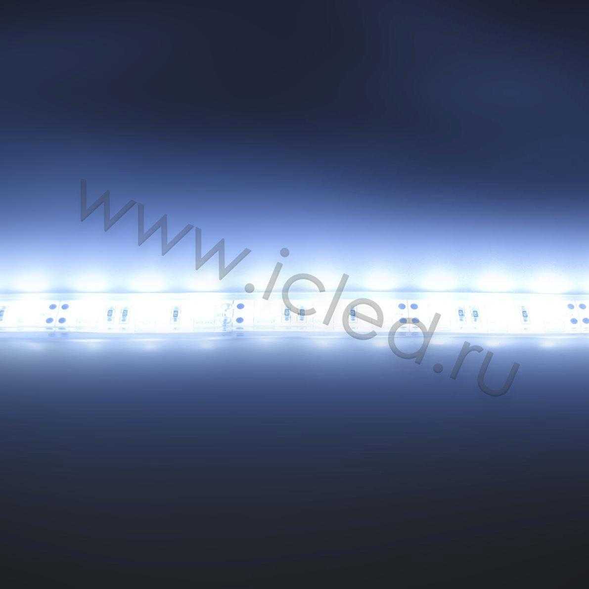 Влагозащищенные светодиодные ленты Светодиодная лента LUX class, 5050, 60 led/m, Cool White,24V,P622, IP68 Icled