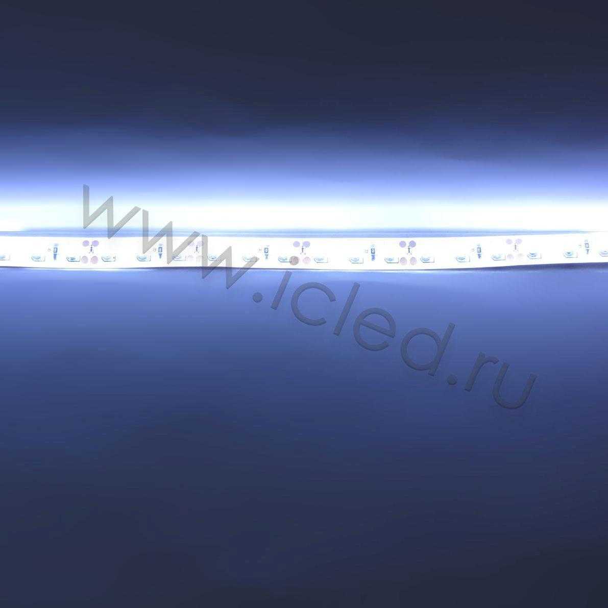 Влагозащищенные светодиодные ленты Светодиодная лента Standart class, 3528, 120led/m, White, 12V, IP65 Icled