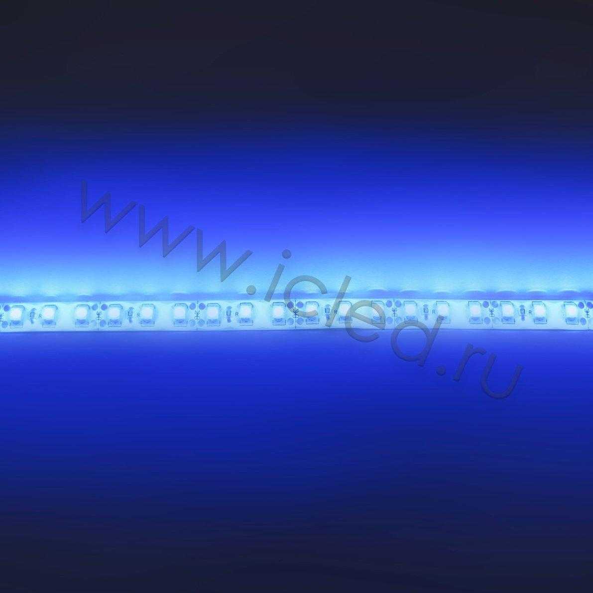 Влагозащищенные светодиодные ленты Светодиодная лента Standart class, 3528, 120led/m, Blue, 12V, IP65 Icled