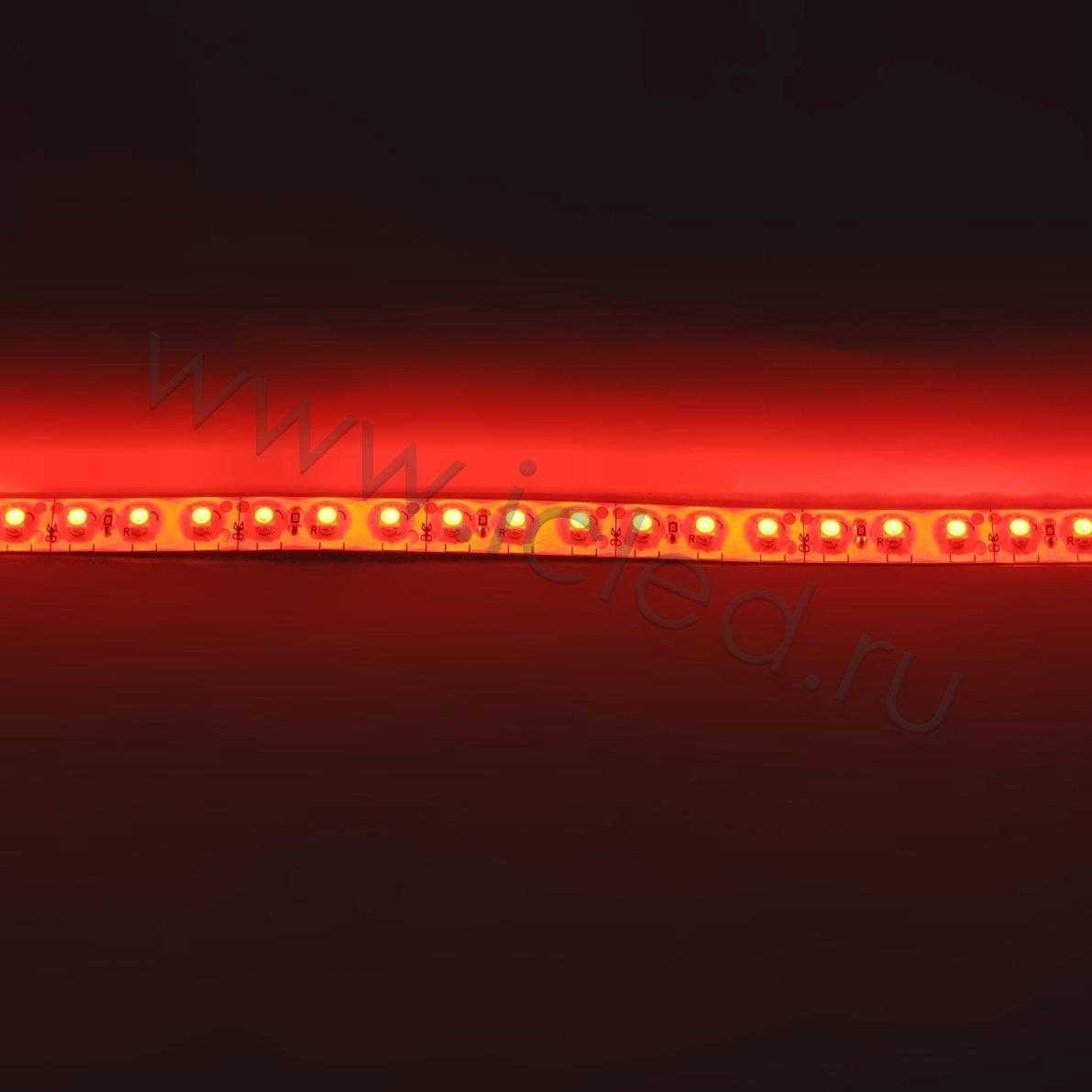Влагозащищенные светодиодные ленты Светодиодная лента Standart class, 3528, 120led/m, Red, 12V, IP65 Icled