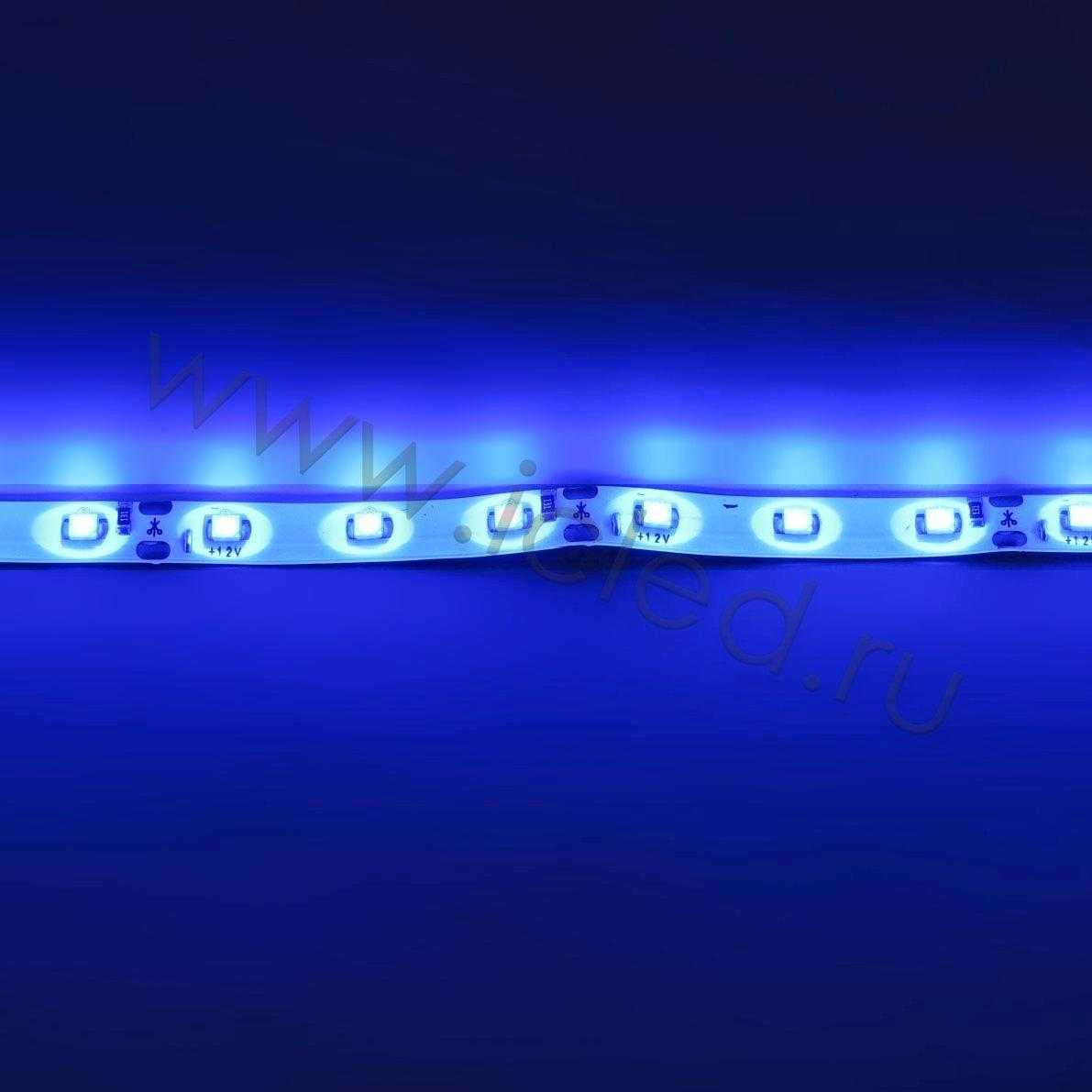 Влагозащищенные светодиодные ленты Светодиодная лента Standart class, 3528, 60led/m, Blue, 12V, IP65 Icled