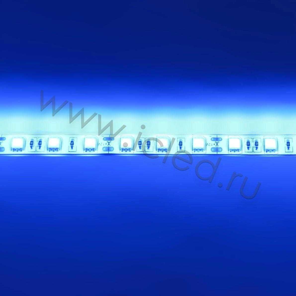 Влагозащищенные светодиодные ленты Светодиодная лента Standart class, 5050, 60led/m, Blue, 12V, IP65 Icled