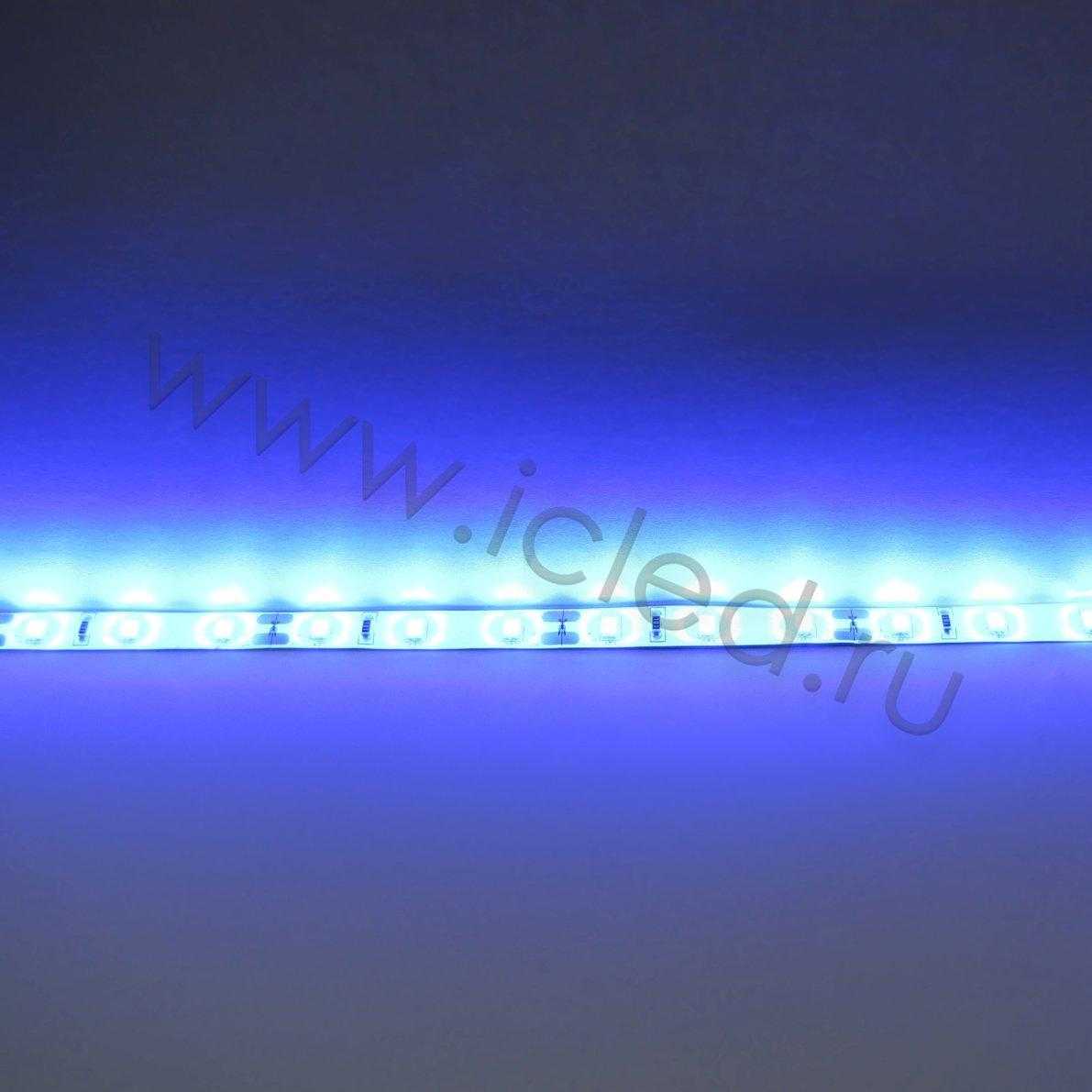 Влагозащищенные светодиодные ленты Светодиодная лента LUX class, 2835, 60led/m, Blue, 12V, IP65 Icled