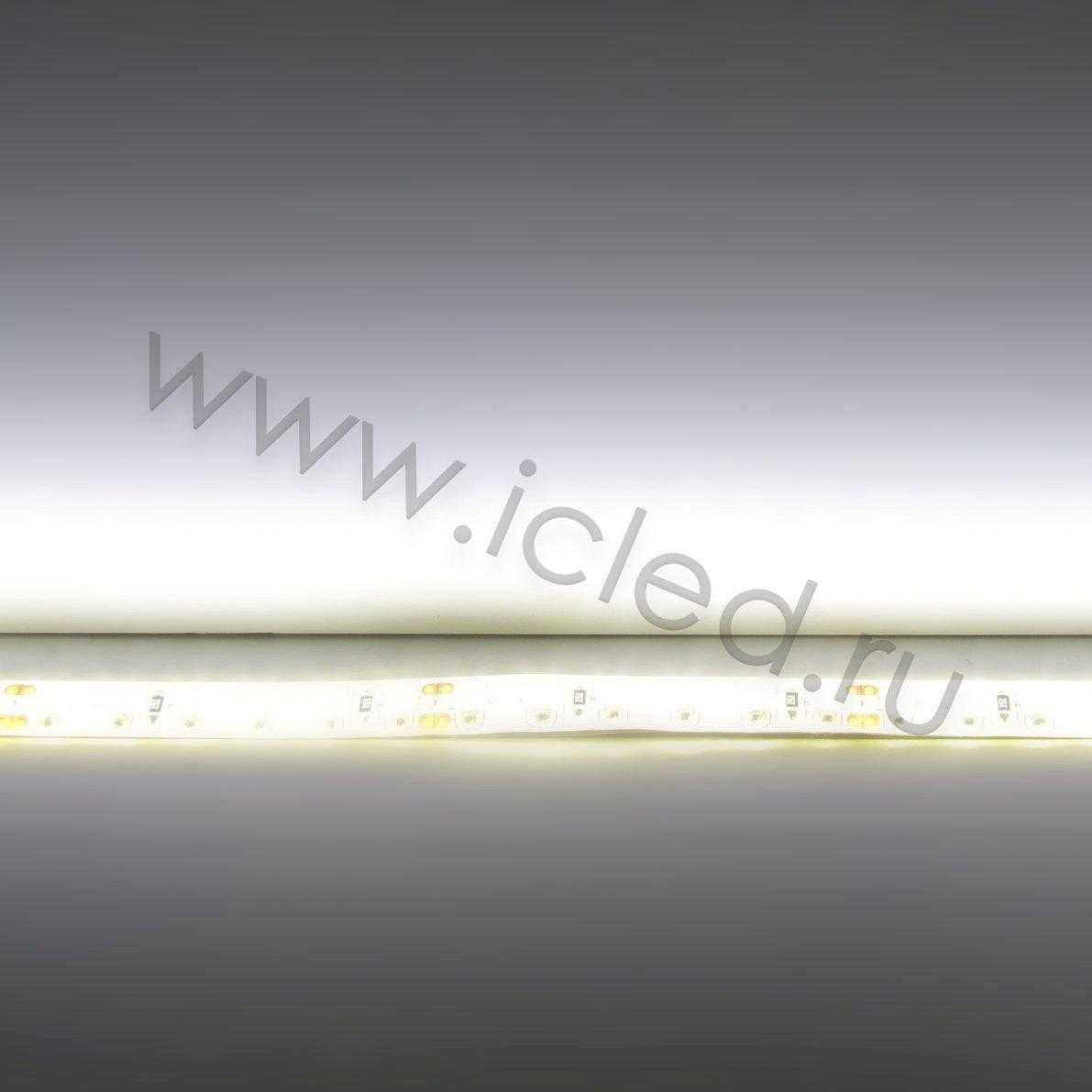 Влагозащищенные светодиодные ленты Светодиодная лента Standart PRO class, 3528, 120 led/m, Warm White, 24V, IP65 Icled