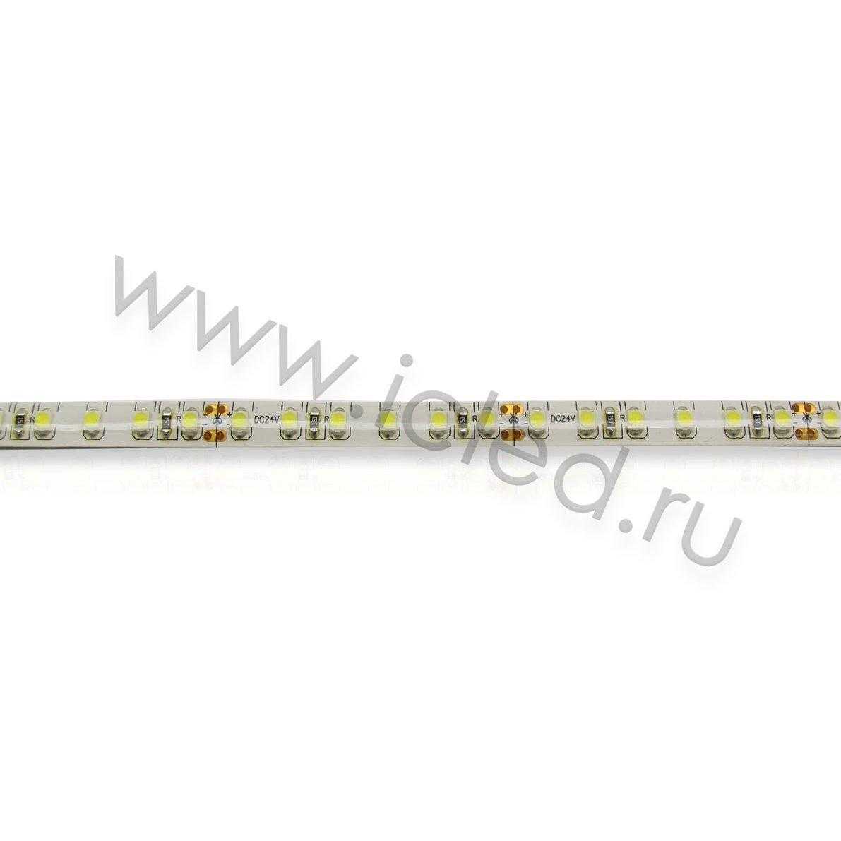 Влагозащищенные светодиодные ленты Светодиодная лента Standart PRO class, 3528, 120 led/m, Day White, 24V, IP65 Icled