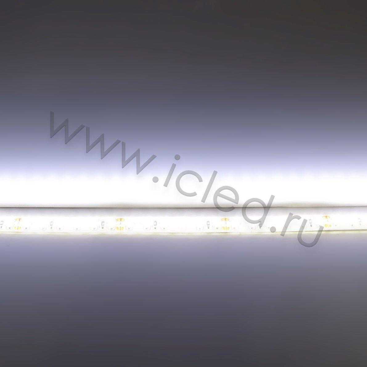Влагозащищенные светодиодные ленты Светодиодная лента Standart PRO class, 3528, 120 led/m, Day White, 24V, IP65 Icled