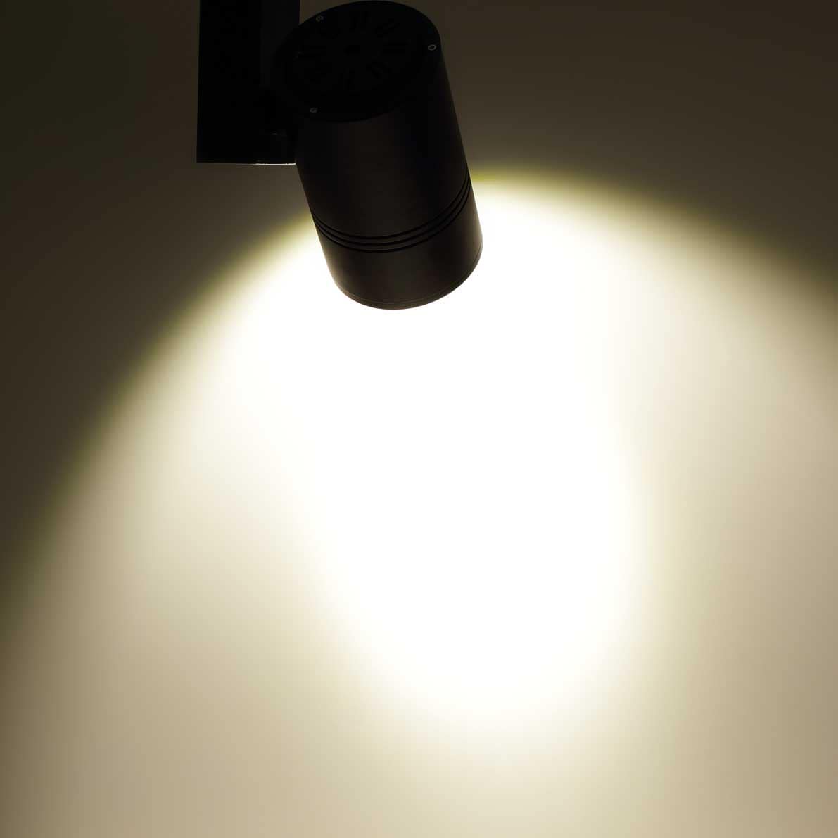 Светодиодный светильник трековый GDD087 2L PX40 (30W, 220V, day white)
