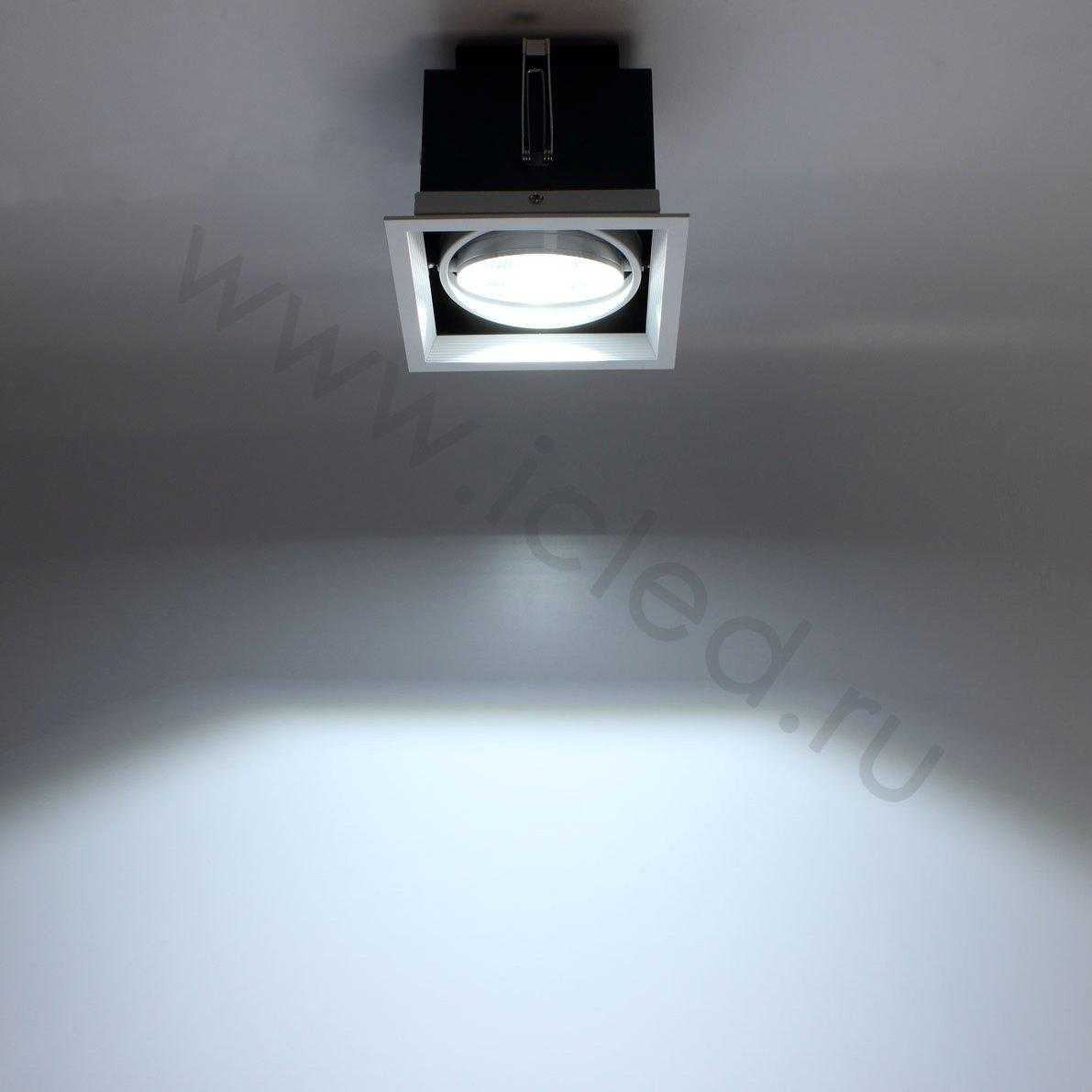 Светодиодные светильники Светодиодный светильник карданный AR90-1 OD1 (220V, 1х20W, white)