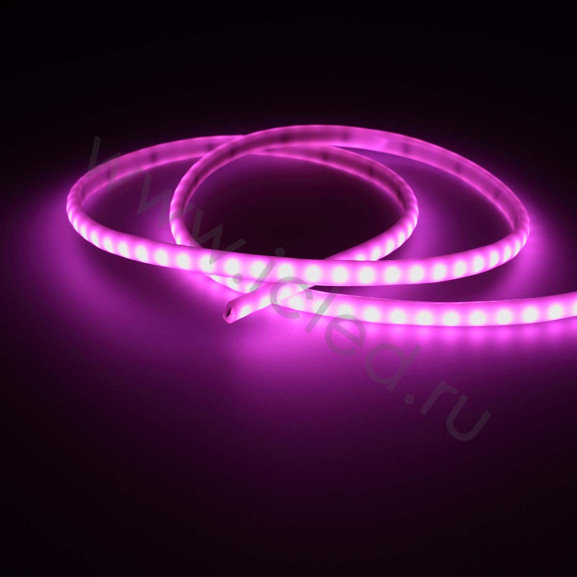 Влагозащищенные светодиодные ленты Светодиодная лента Standart Pro class 2835 120led/m, purple, 12V, IP68, N338 Icled