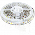  Светодиодные ленты 3528 240 led 24V ICLED